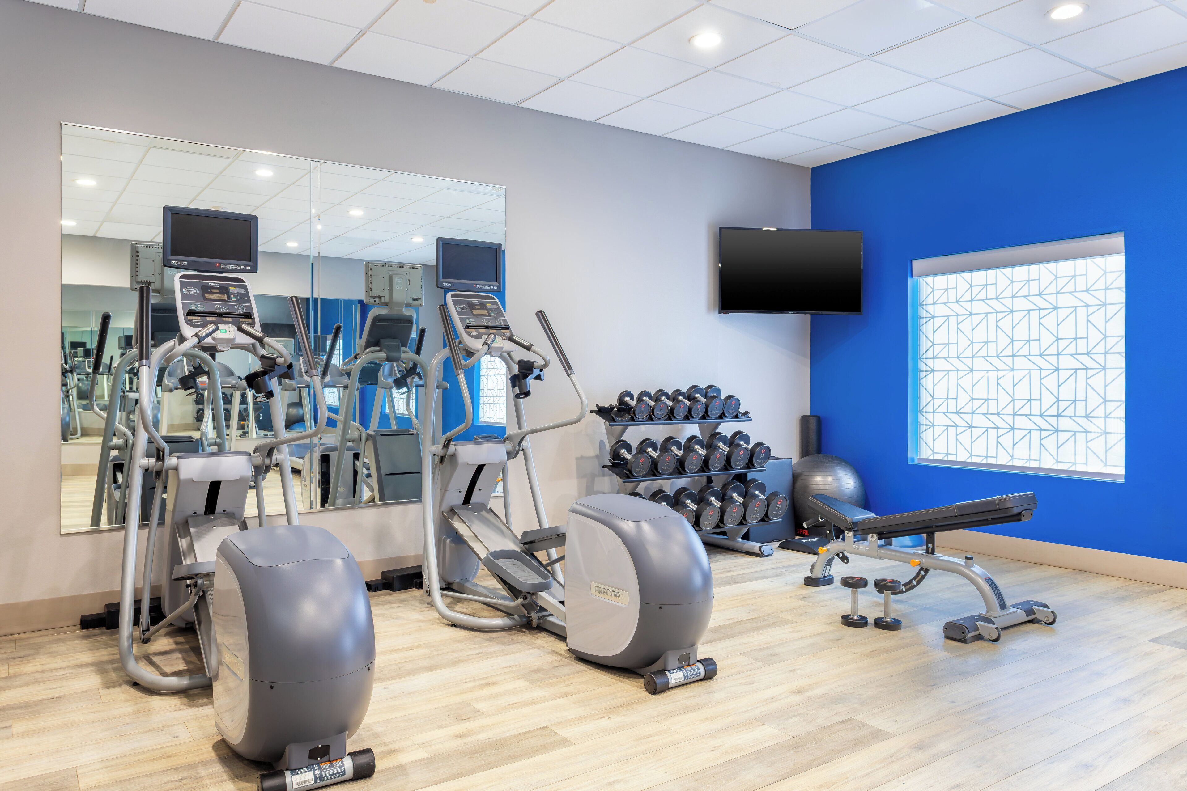 A gym with cardio machines, dumbbells, and a TV on the wall.