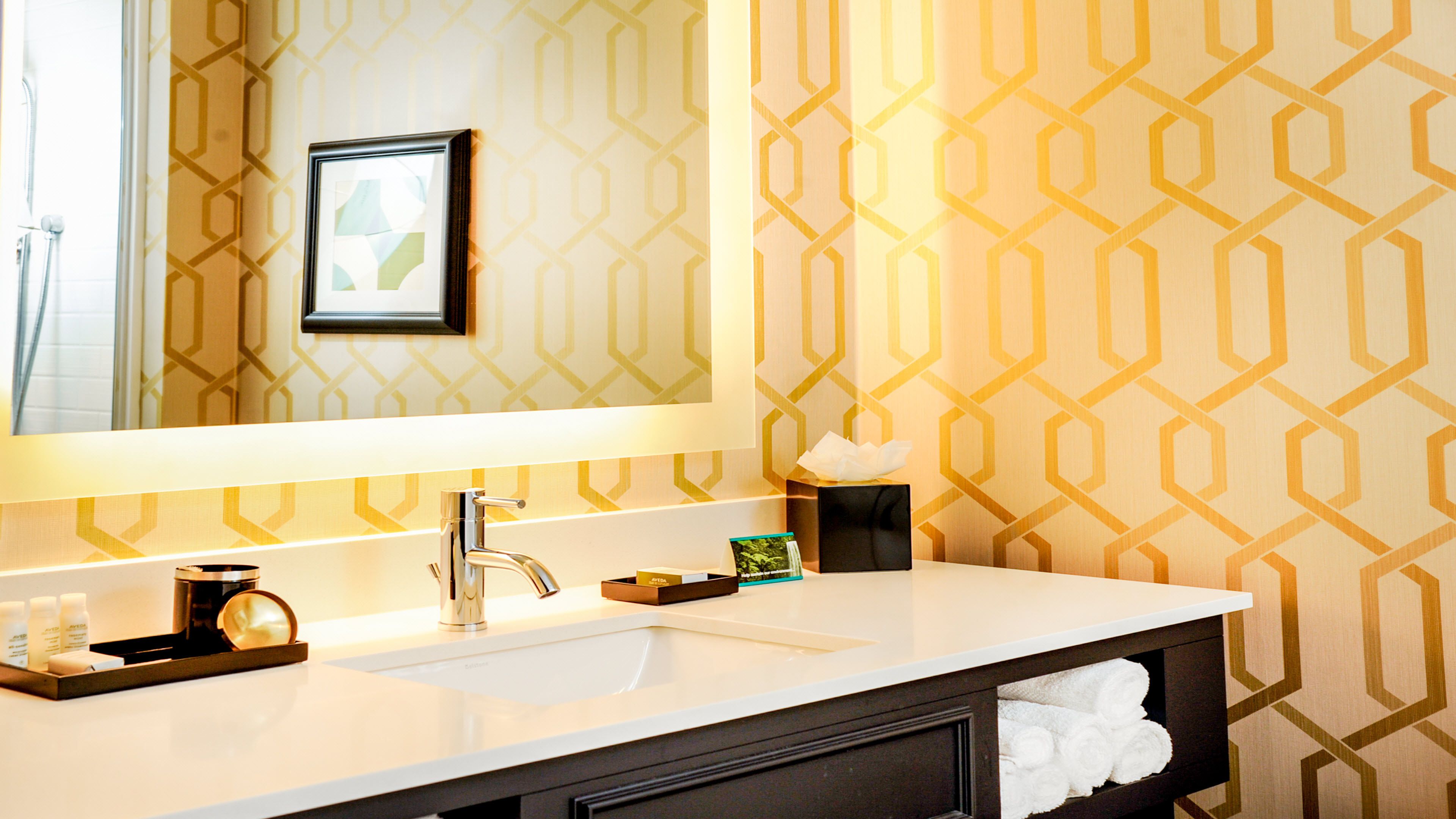 combined shower/bathtub, free toiletries, hair dryer, towels