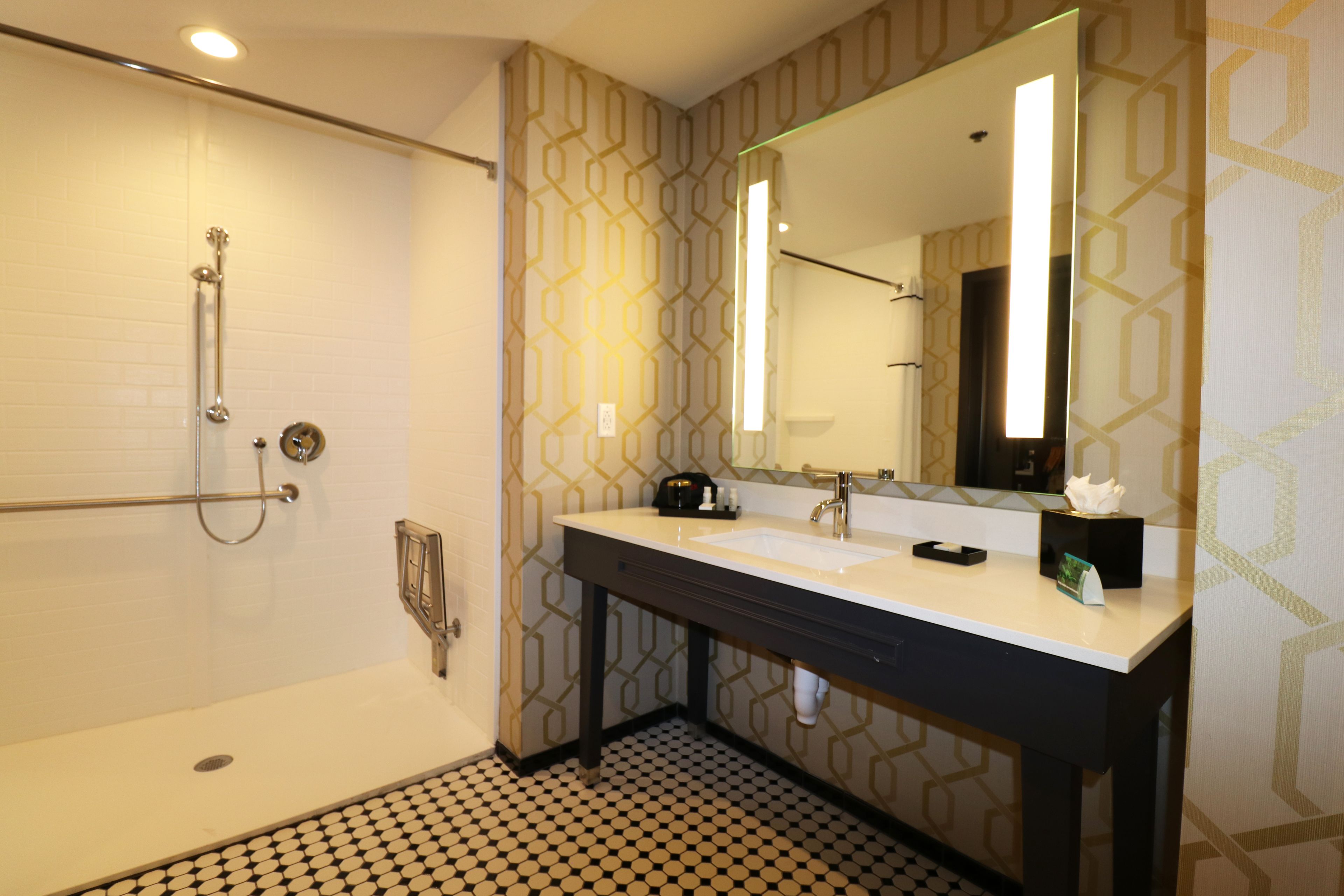 combined shower/bathtub, free toiletries, hair dryer, towels