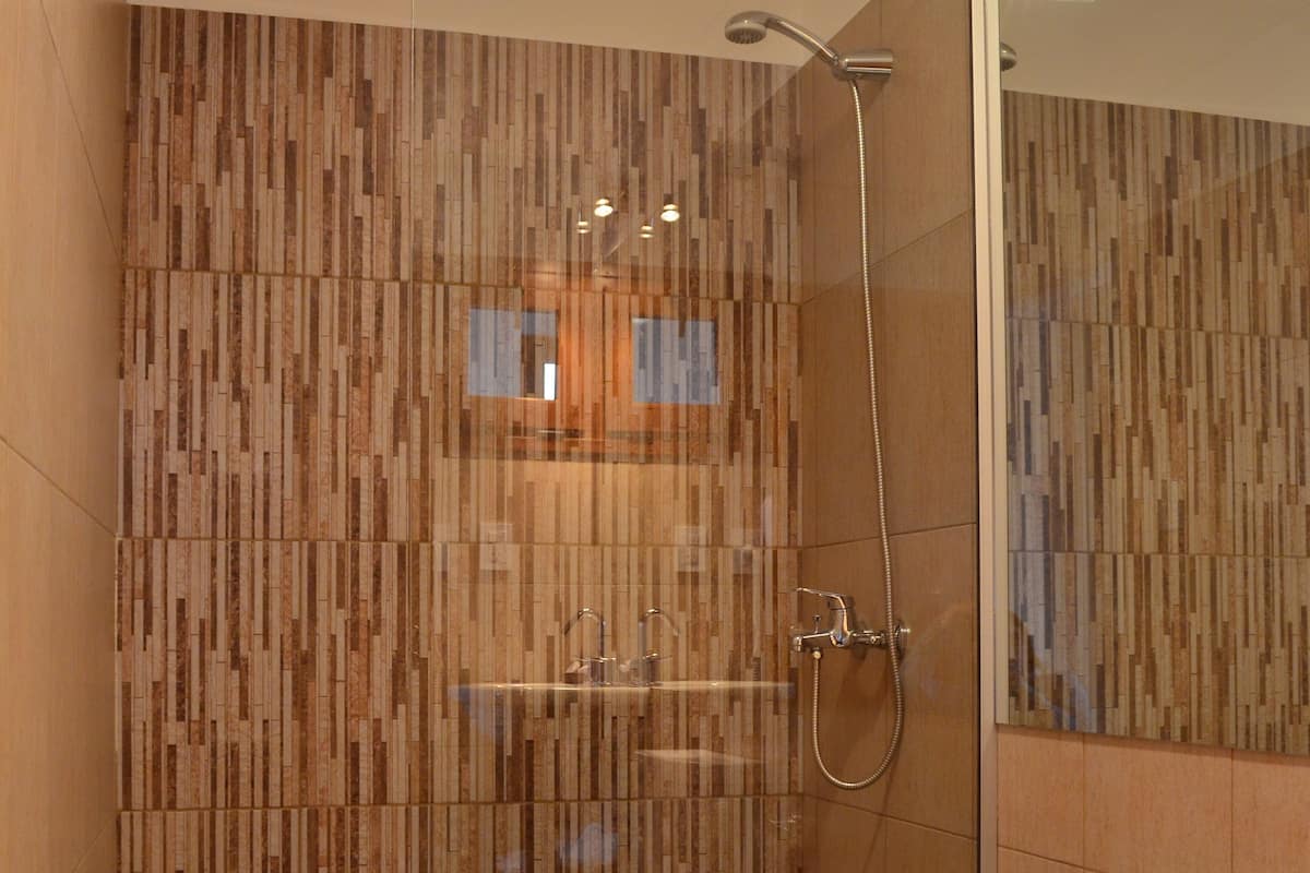 shower, free toiletries, hair dryer, towels