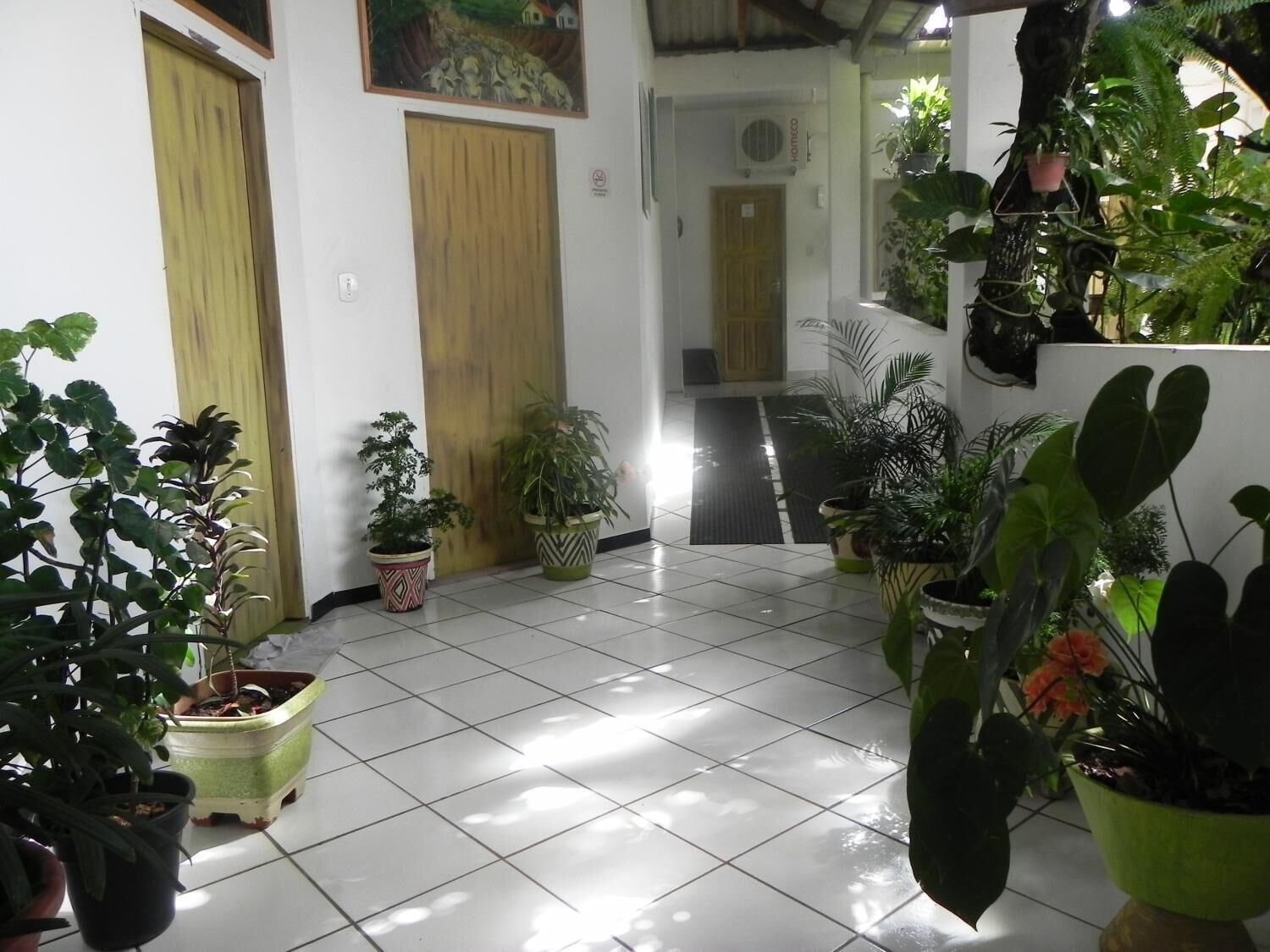Un couloir doté d’un sol carrelé, de portes en bois et de différents pots de plantes.