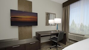 Quarto de hotel com cama, escrivaninha com cadeira, televisão de tela plana na parede, espelho, janela com cortinas e ar condicionado instalado.