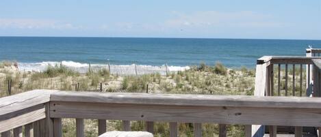 Studio | Pantai | Di pantai