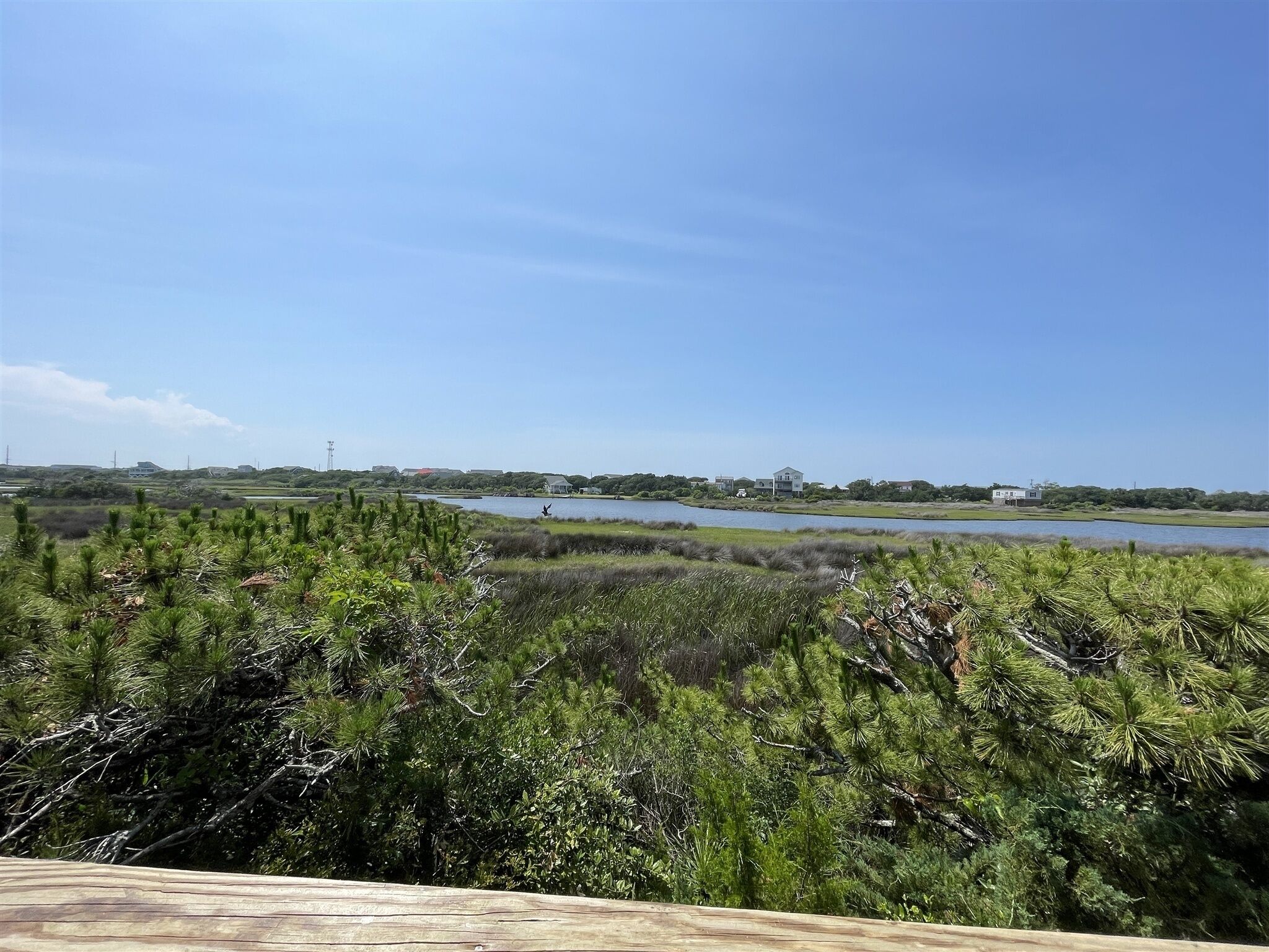 Une vue d'un lac, avec la végétation environnante et des bâtiments situés au loin.