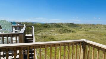 Studio | Khuôn viên nơi lưu trú