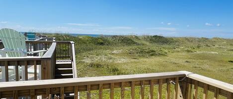 Studio | Property grounds