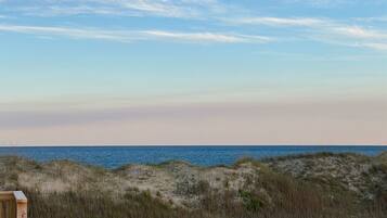 Studio | Beach | On the beach