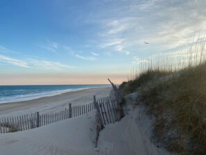 Studio | Beach | On the beach
