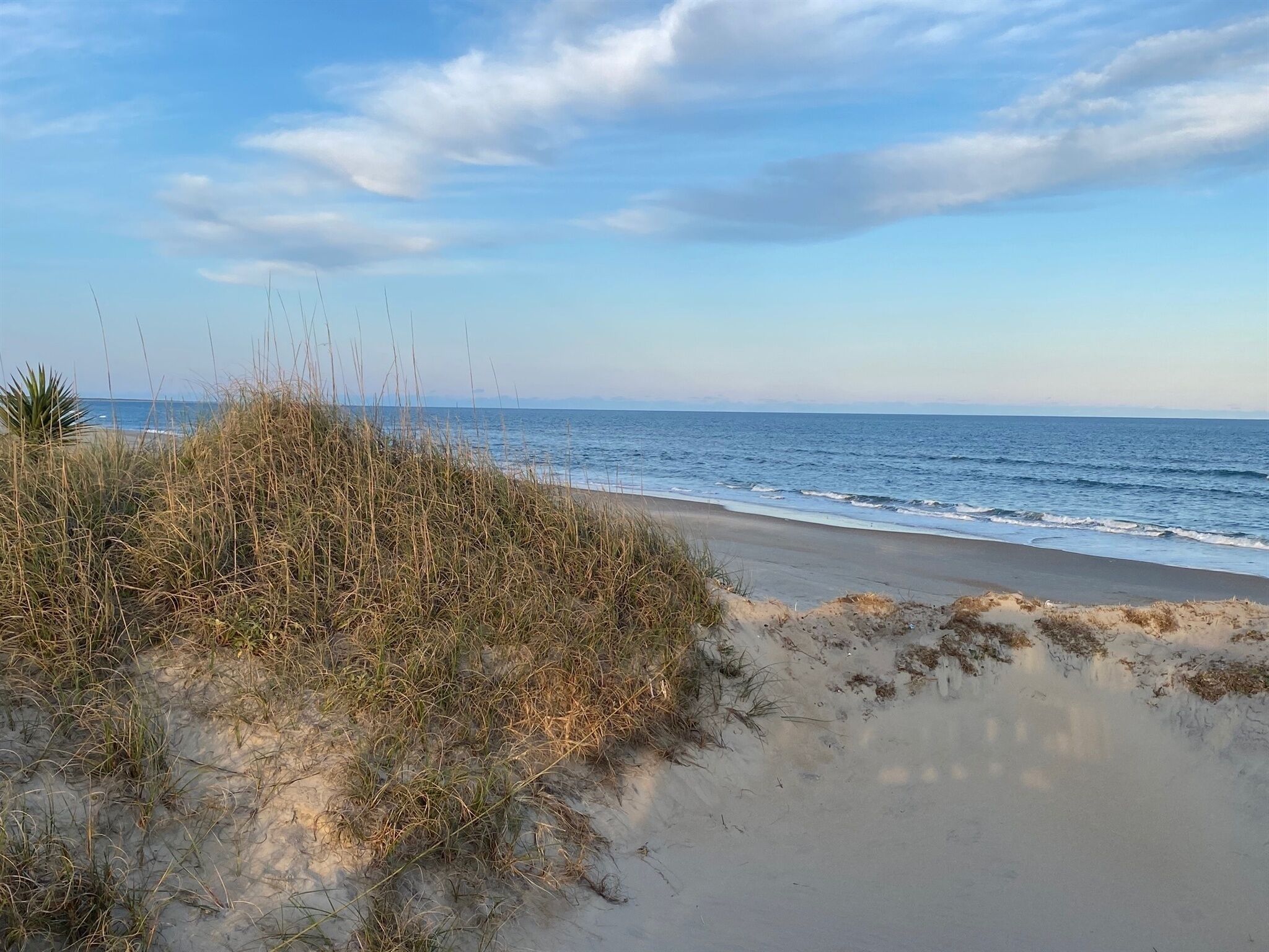 Une plage avec des dunes de sable et l’océan.