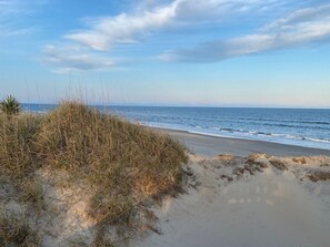 Studio | Plage | Sur la plage