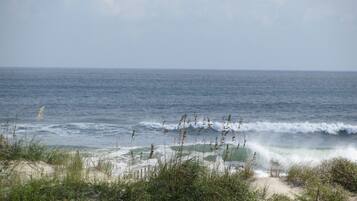 Studio | Beach | On the beach