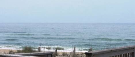 Studio | Pantai | Di pantai