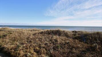 Studio | Pantai | Di pantai