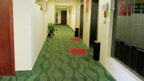 A hotel corridor with patterned carpet, a potted plant, and a red mat on the floor. - Greentree Inn Suzhou Shengze Business Hotel (Suzhou)