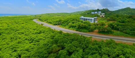 A lush green landscape with a road curving through it and a modern building with a flat roof on a hill.