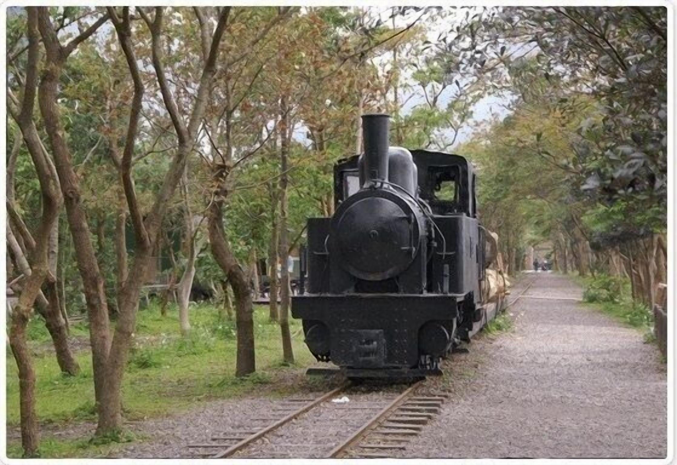 Una locomotora de vapor sobre una vía estrecha rodeada de árboles.