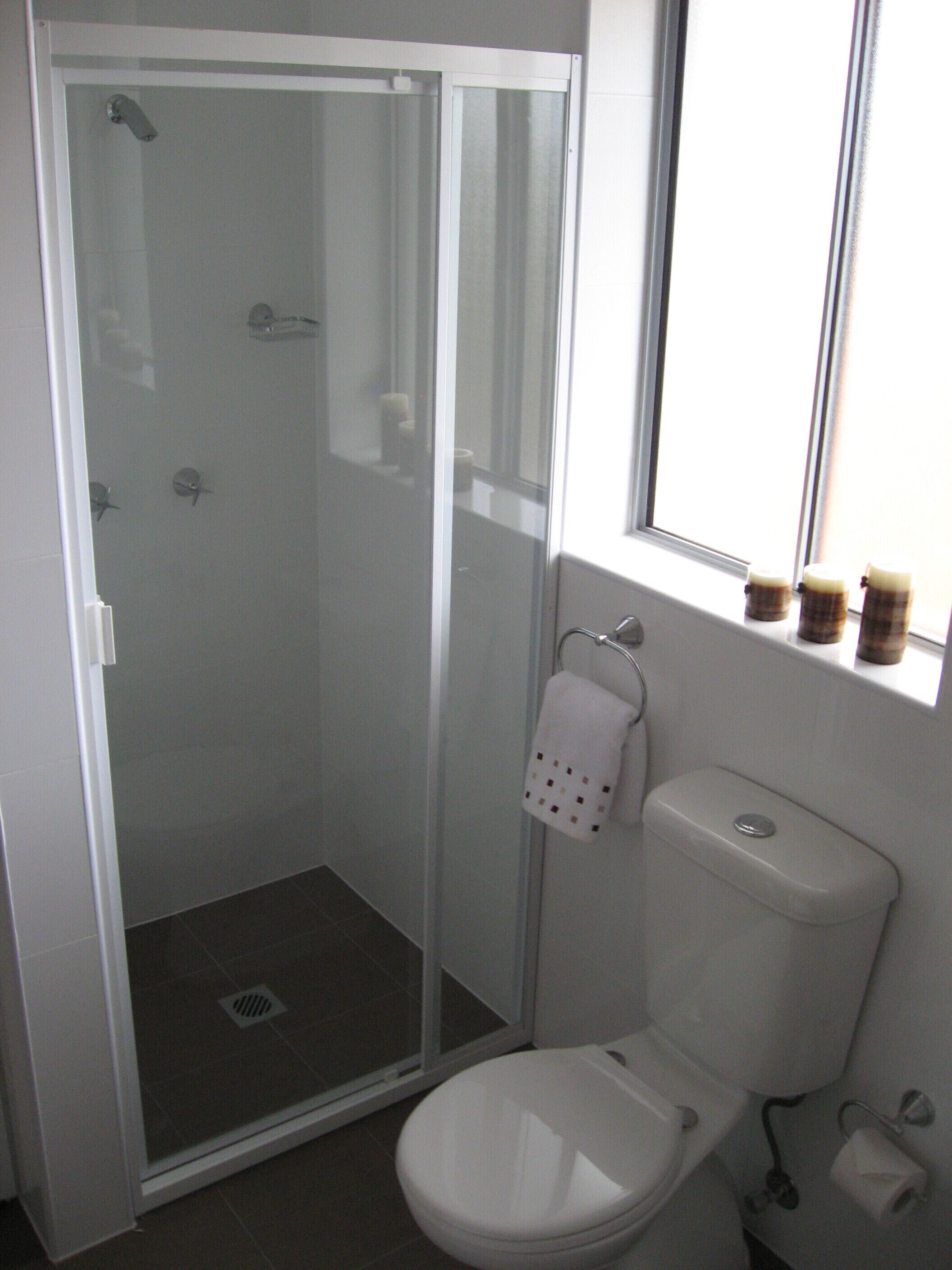 A bathroom with a glass-enclosed shower, a toilet, and a window with a view.