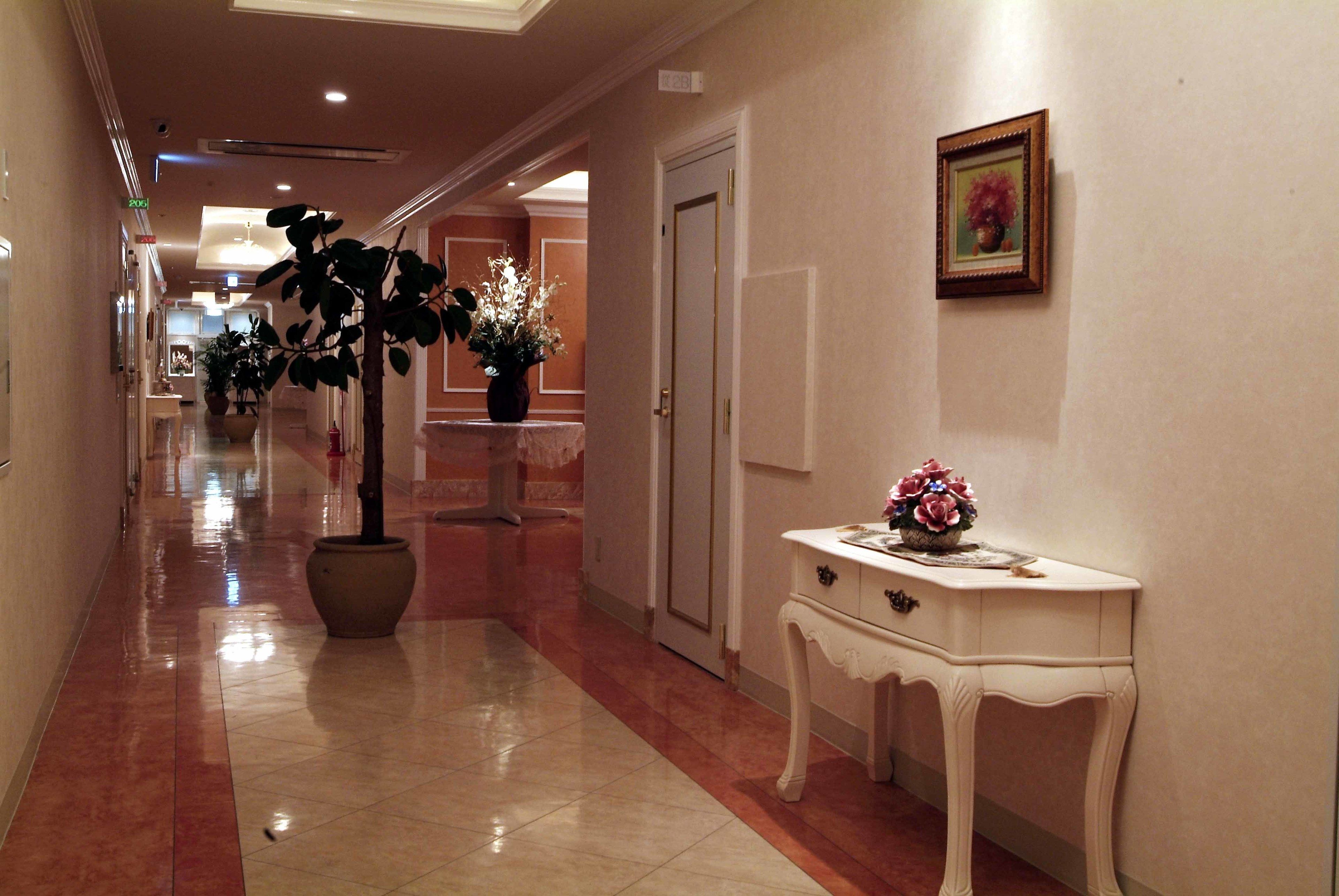 A hotel corridor with a potted plant, a white console table with a vase, and a framed picture on the wall.