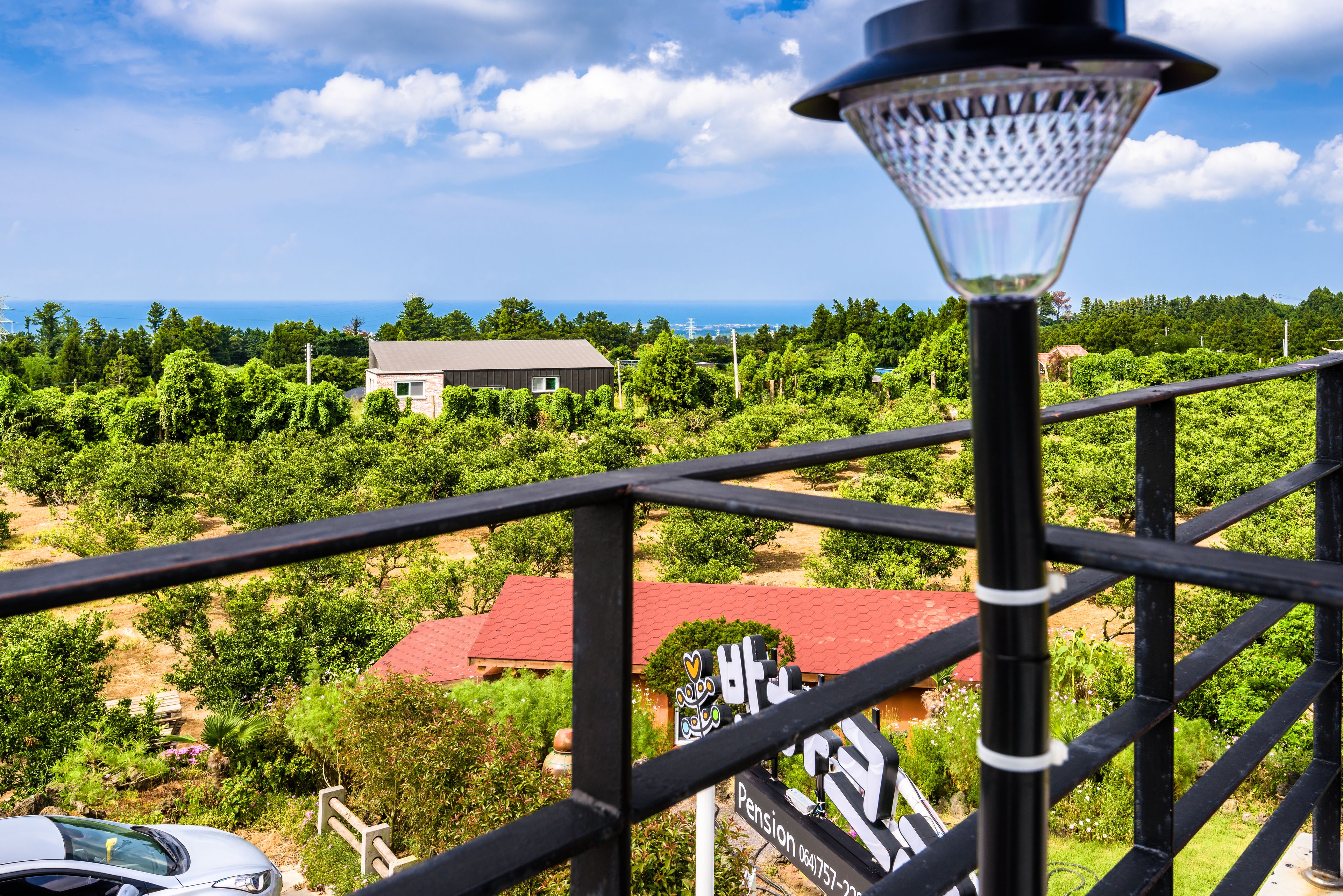 Un balcon donnant sur un vignoble, un bâtiment au toit rouge et un ciel dégagé.