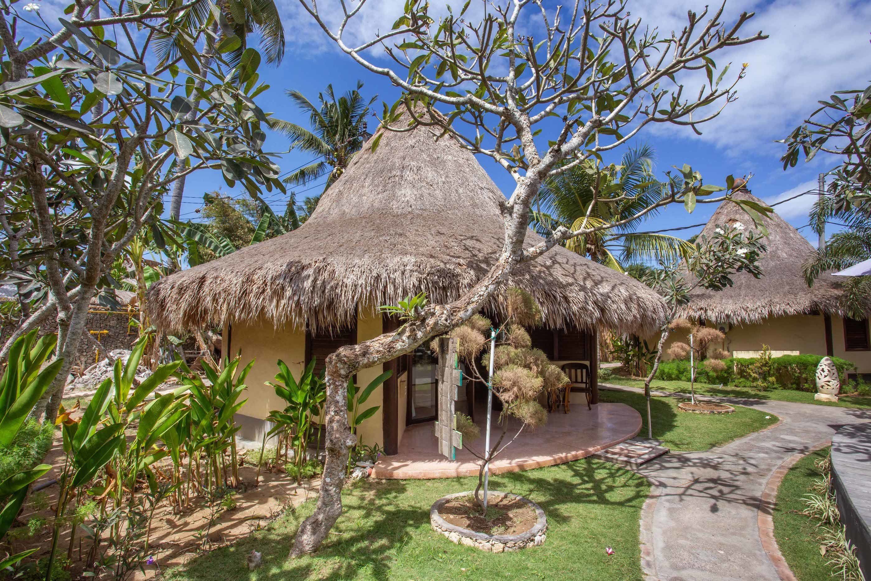 superior room, 1 queen bed, pool view | terrace/patio