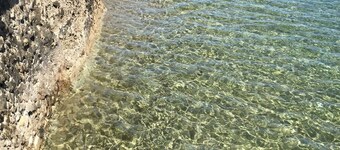 Bamboo Paradise Beach Resort