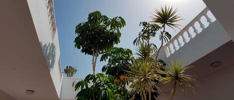A spacious atrium with high ceilings and skylights, featuring a variety of indoor plants and a white balustrade.