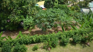 Un jardin luxuriant avec divers arbres et arbustes, une pelouse et, au fond, un bâtiment surmonté d’un toit jaune.