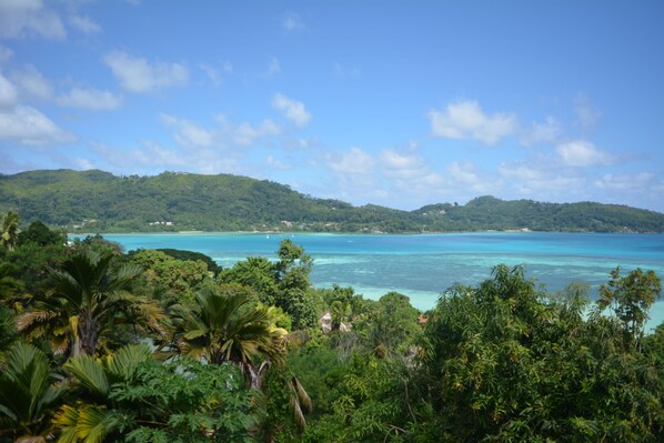 A tropical landscape with dense greenery and a clear view of the ocean.