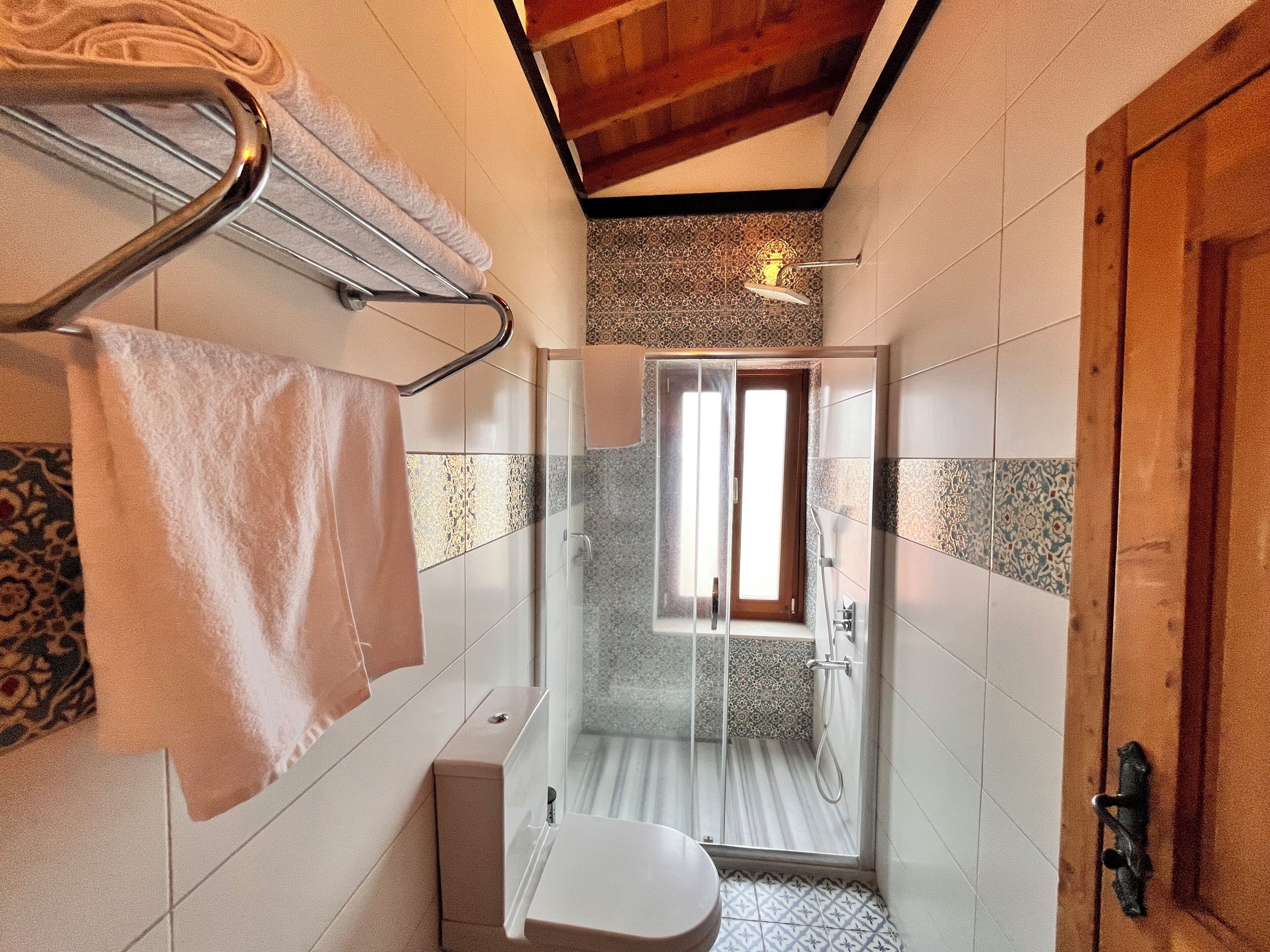 Baño con ducha, inodoro y barra para toallas.