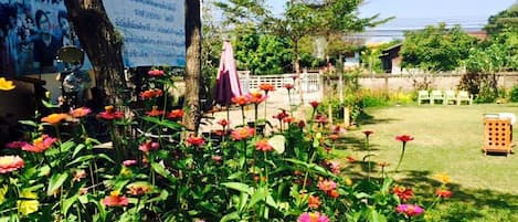 Jardim