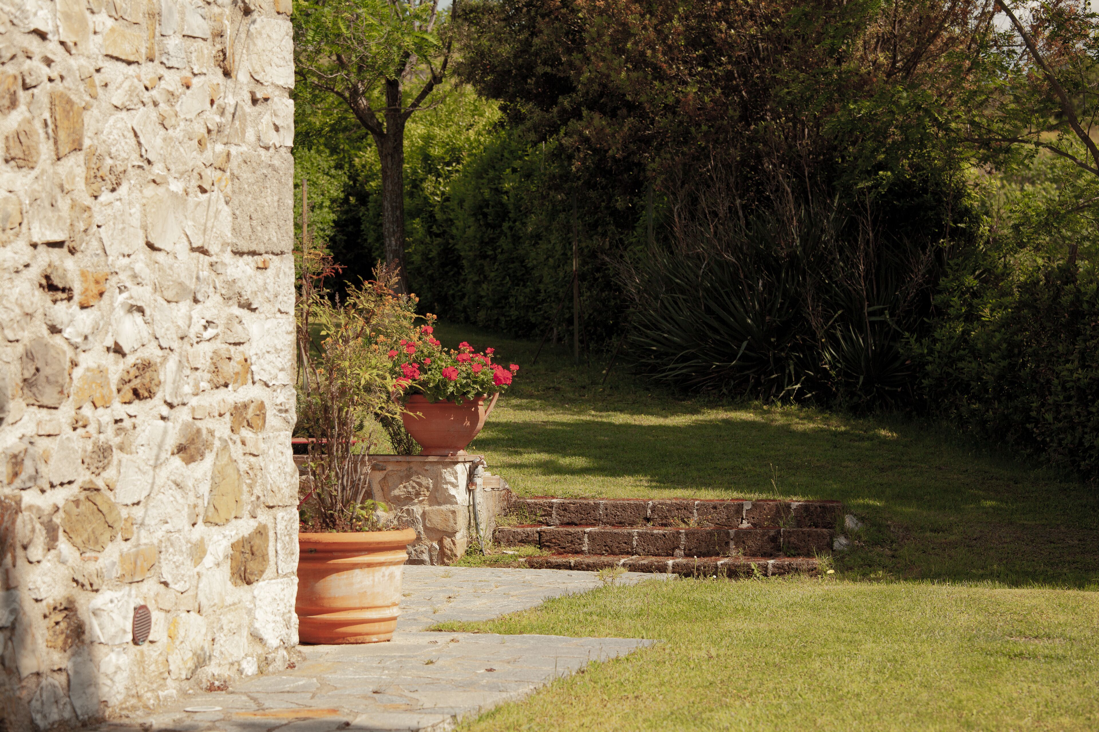 منطقة شواء/نزهات