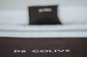 Premium Double Room | Free WiFi, bed sheets