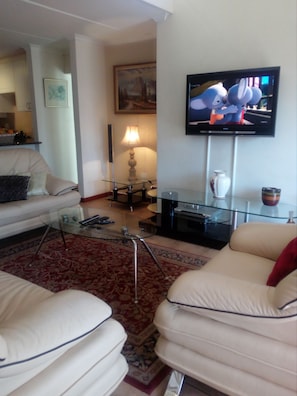 48-inch TV with premium channels