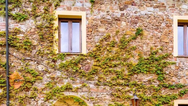 Un edificio de piedra con muros cubiertos de hiedra, un arco central y una pequeña mesa afuera.