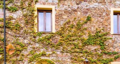 Agriturismo Bio Fattoria di Pietra