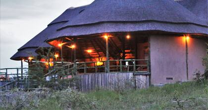 Kasenyi Safari Camp