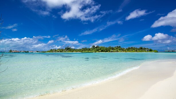 A beach with clear turquoise water, white sand, and a small island with trees in the background. - Ithaa Beach Maldives (Guraidhoo)