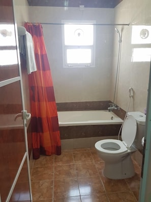 Shower, free toiletries, hair dryer, towels