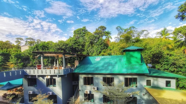 Un edificio de dos plantas con techo verde y numerosas ventanas, rodeado de abundante vegetación y árboles.