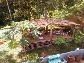 Property grounds - Green Peace Sungai Lembing (Sungai Lembing)