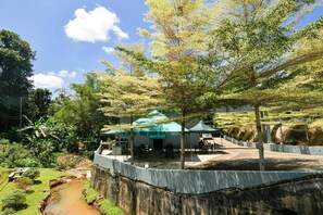 Property grounds - Green Peace Sungai Lembing (Sungai Lembing)