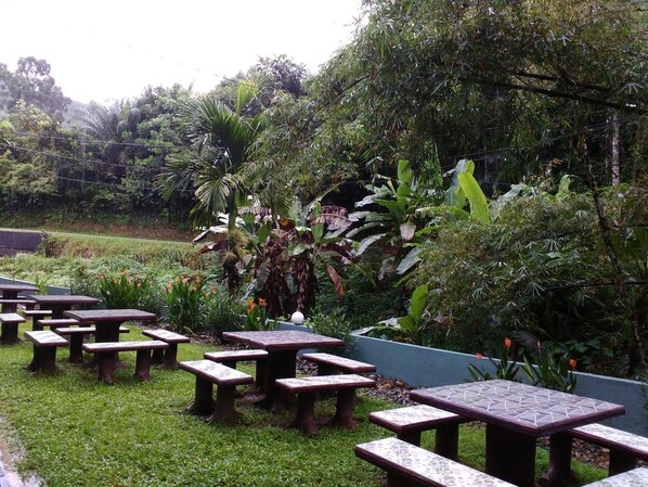 Un espacio al aire libre con varias mesas y bancos de madera, rodeado de abundante follaje y diversas plantas.