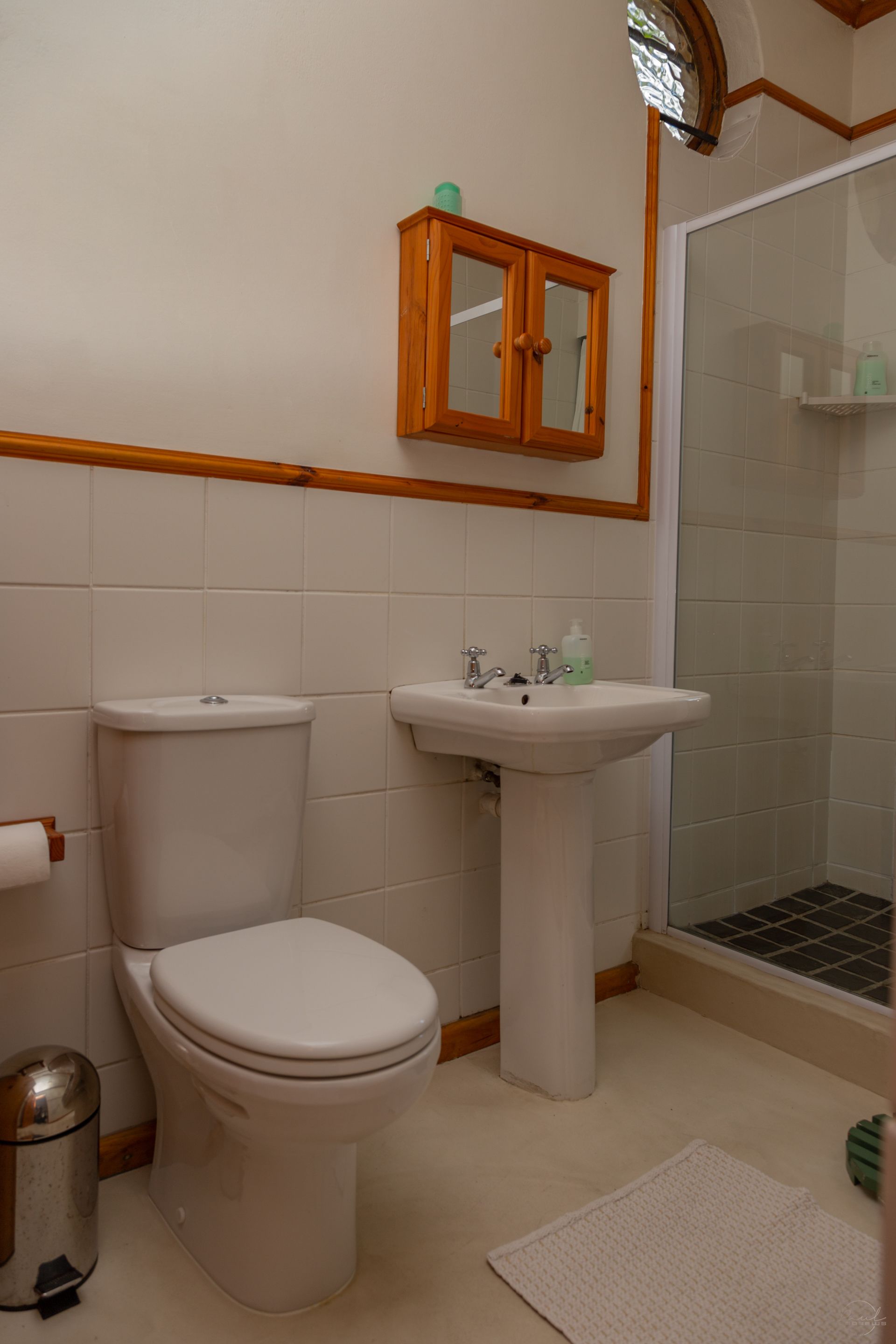 Une salle de bain avec des toilettes, un lavabo et une douche.