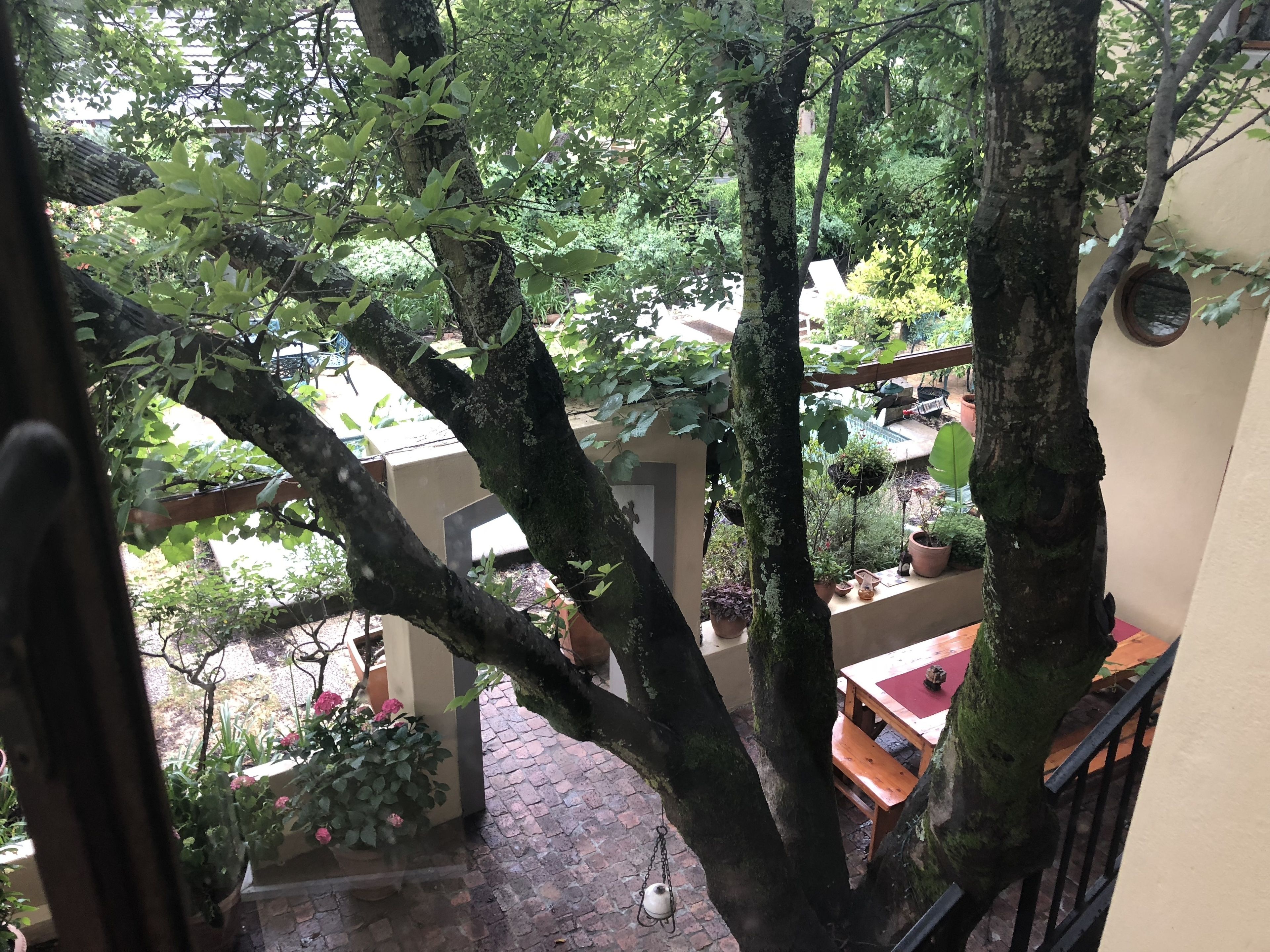 Foto - 10 Alexander B&B