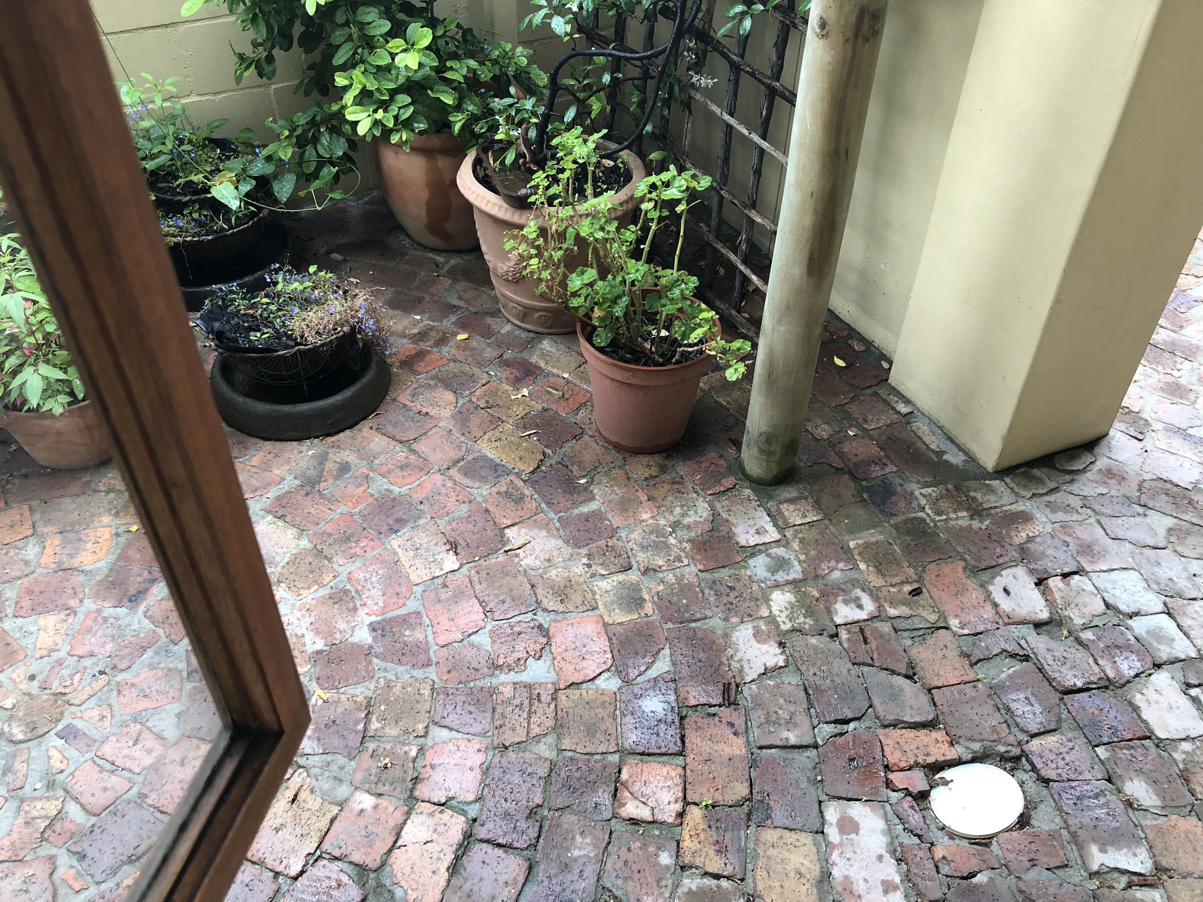 Foto - 10 Alexander B&B