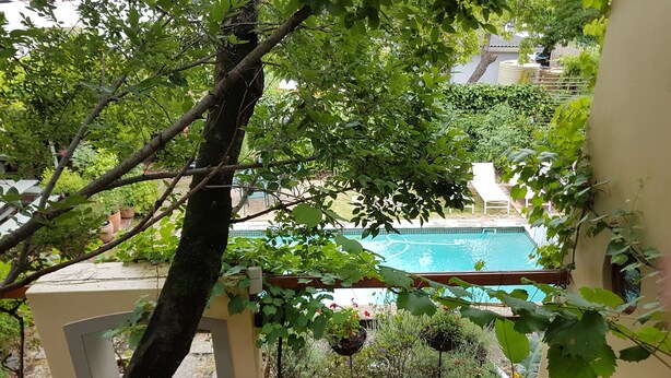 A view of a swimming pool surrounded by lush greenery and potted plants. - 10 Alexander B&B (Stellenbosch)