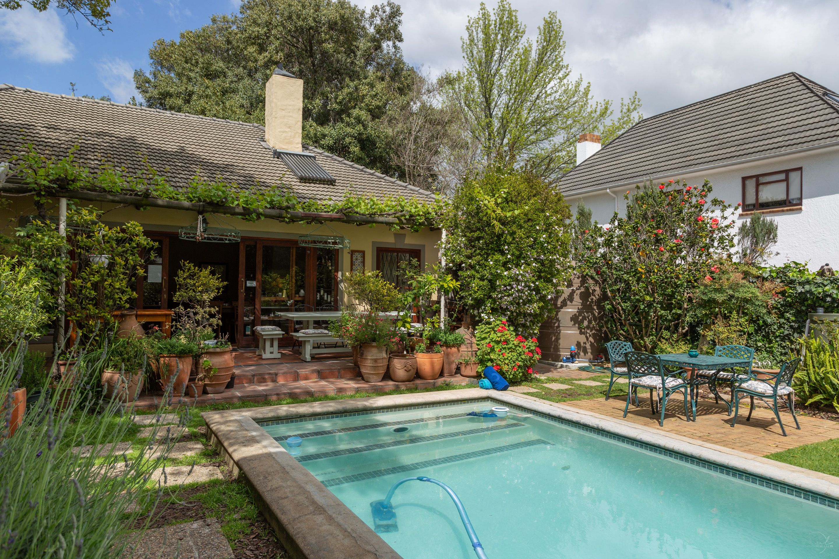 Outdoor pool, pool umbrellas, pool loungers