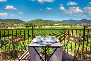 Deluxe Double Room, 1 Bedroom, Balcony, Vineyard View | View from room