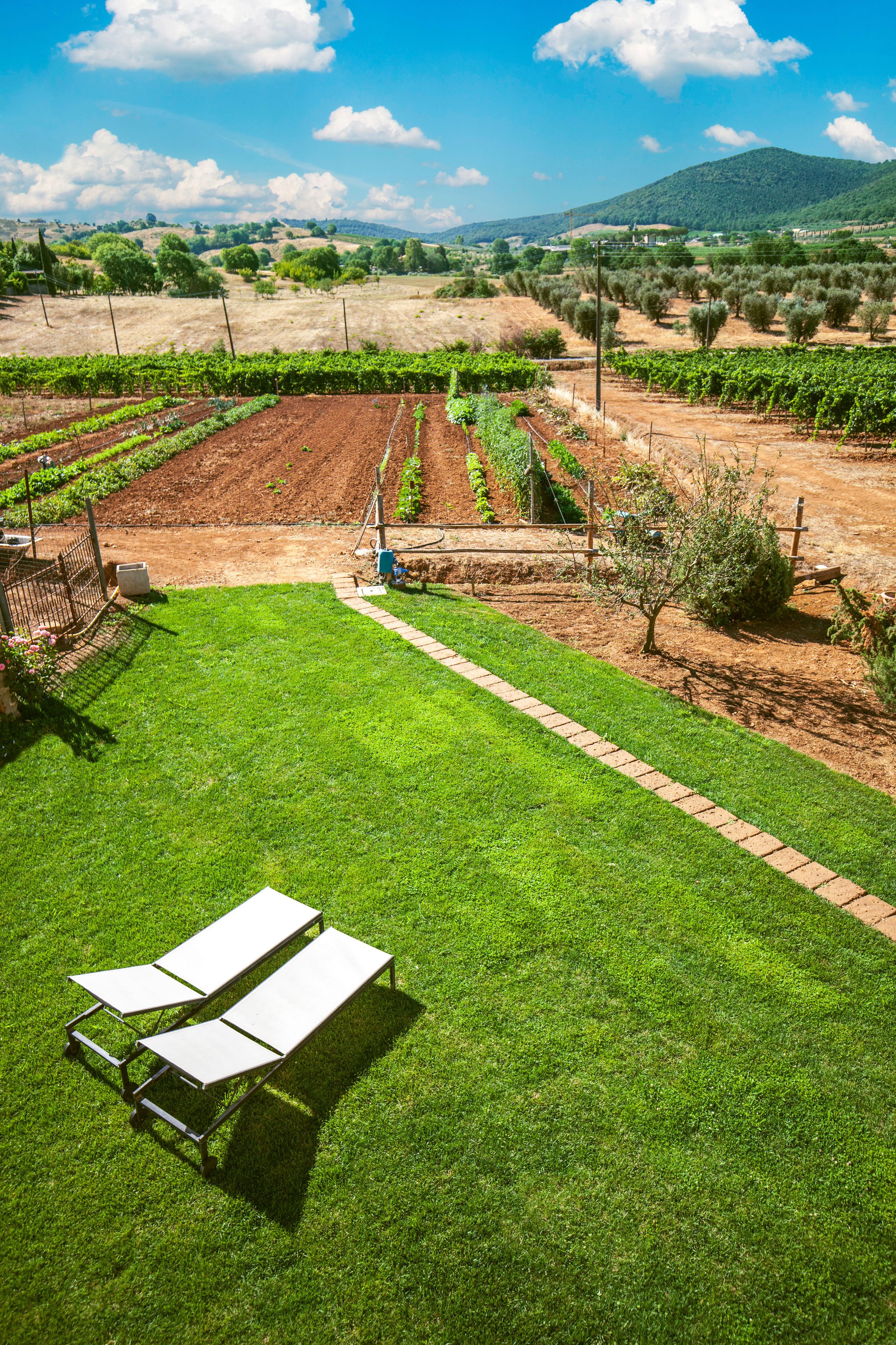 Habitación doble superior, 1 cama de matrimonio, baño privado, vistas al viñedo | Solárium