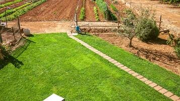 Habitación doble superior, 1 cama de matrimonio, baño privado, vistas al viñedo | Solárium